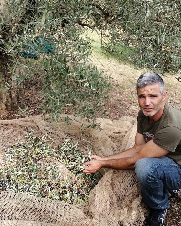 OLIWA EXTRA VIRGIN BIO DELICATO NAGRADZANA ZBIÓR 2024 WŁOSKA 750 ml