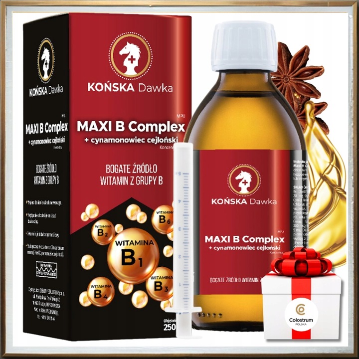 Witamina B B1B2 B3 KOŃSKA DAWKA Cynamonowiec cejloński MAXI B Complex