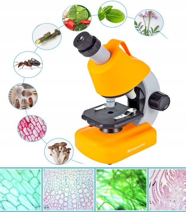 MIKROSKOP NAUKOWY ZABAWKA DLA DZIECI Z AKCESORIAMI W WALIZCE 640X