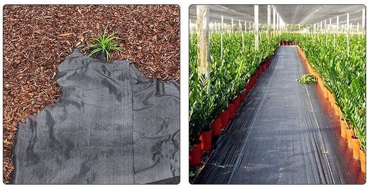 Agrowłóknina czarna 110x5000 cm mata antychwastowa