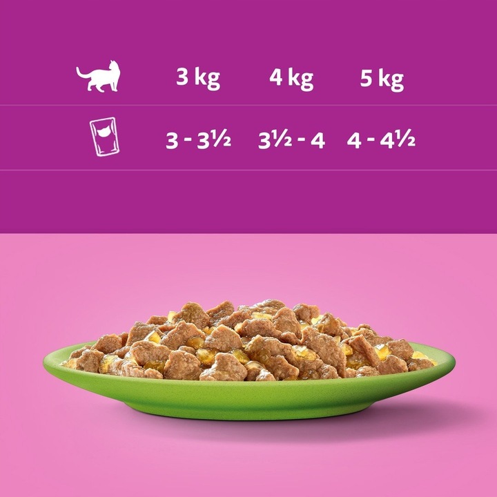 WHISKAS MIX SMAKÓW DLA KOTA W GALARETCE 40x85G