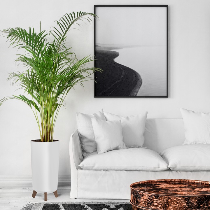 DONICA DONICZKA WYSOKA KWIETNIK STOJĄCY NA NÓŻKACH DO DOMU OGRODOWA BIAŁA