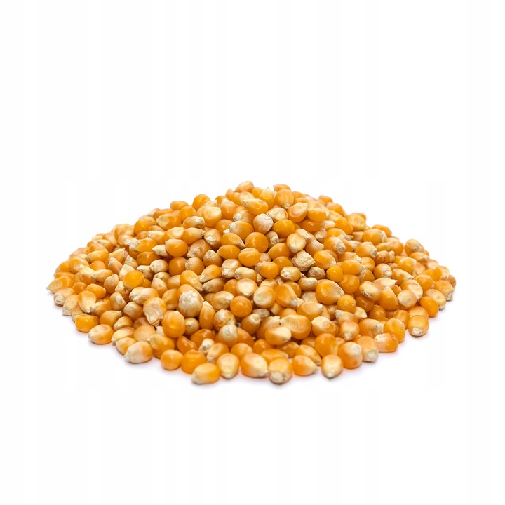 POPCORN KUKURYDZA ZIARNO DO PRAŻENIA BEZ SOLI 99,8% OTWARTYCH ZIAREN 4kg