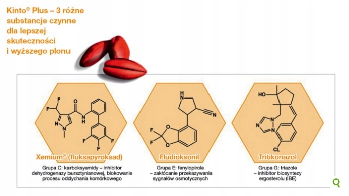 KINTO PLUS 1L zaprawa ziaren siewnych zbóż BASF