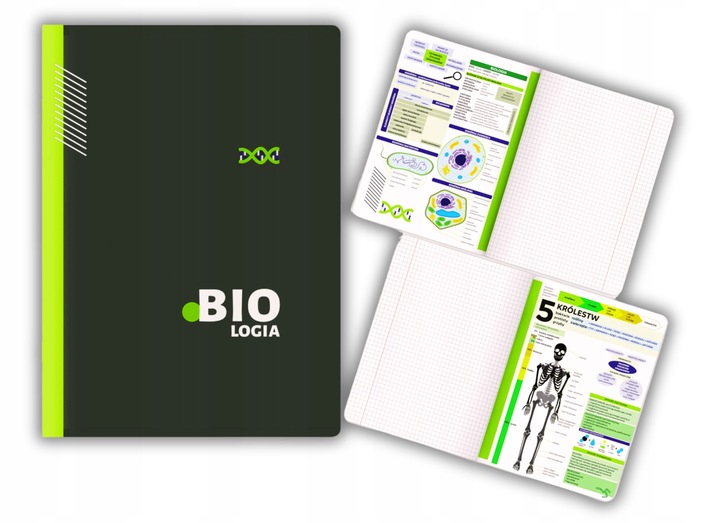 KOMPLET 8 ZESZYTÓW ZE ŚCIĄGĄ A5/60K ŚCIĄGA KOLOROWA 60 KARTEK KLASA 7-8 TOP