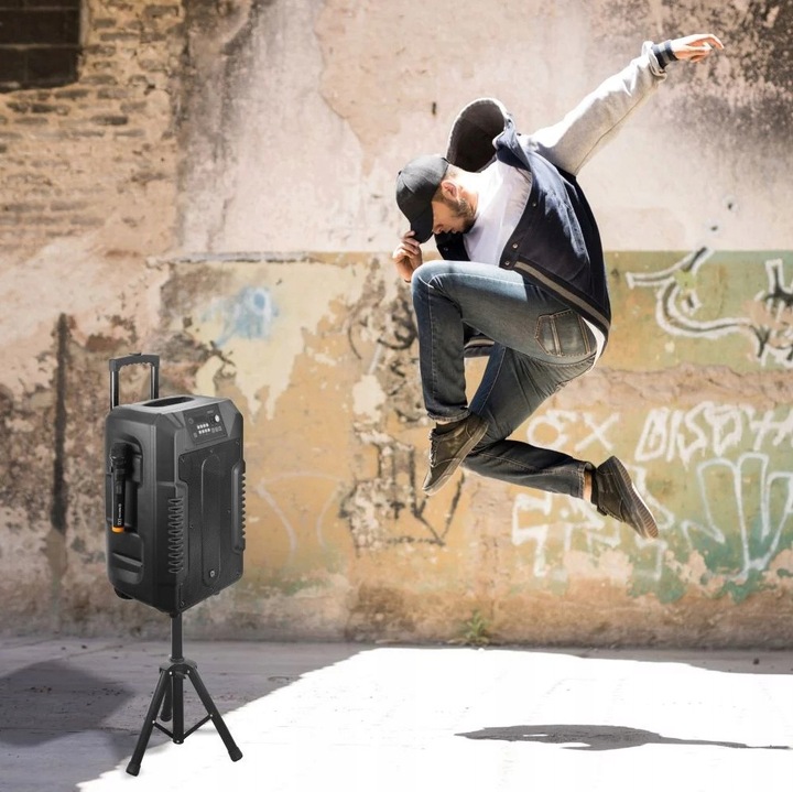 Głośnik Bluetooth Manta Power Audio SPK1203B100