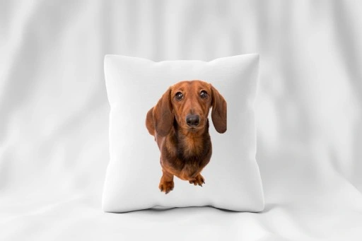 Zestaw PODUSZKA + KUBEK JAMNIK