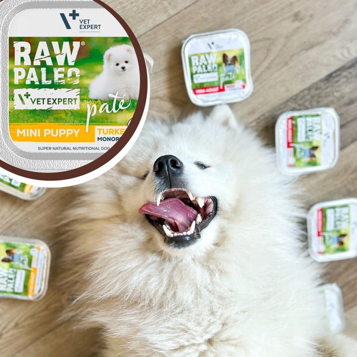 Mokra karma dla szczeniąt małych ras indyk Raw Paleo Pate 12 x 150 g