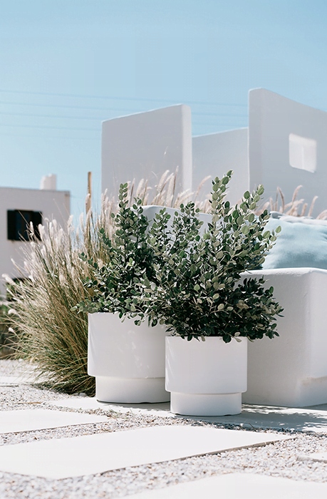 DONICZKA OSŁONKA NA KWIATY WKŁAD HEOS BIAŁA 30CM