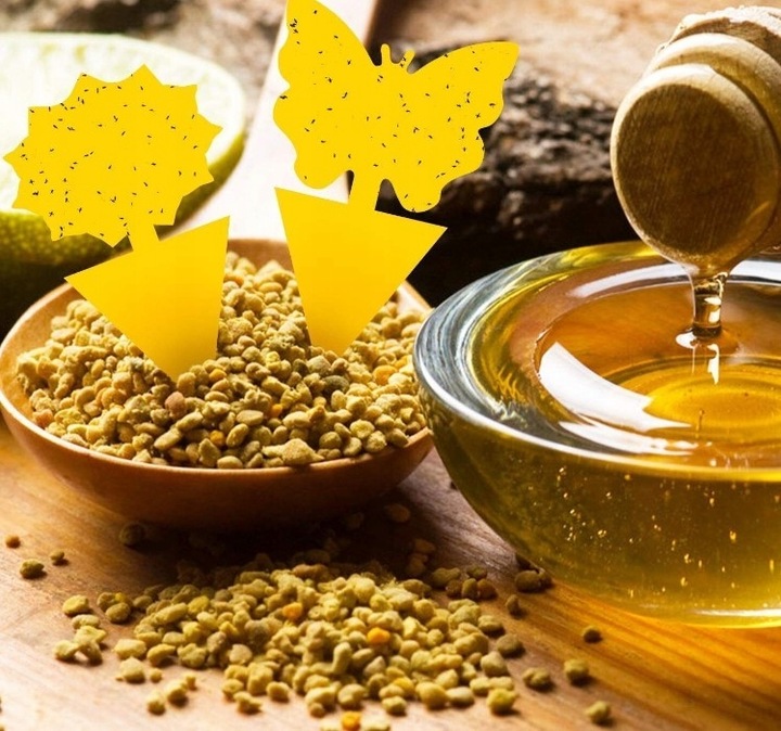 60x ŻÓŁTY LEP DO DONICZEK MOTYL na ziemiórki mszyce muszki owocówki owady