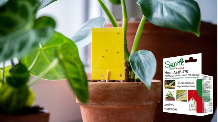 NEEMAZAL T/S PREPARAT NA ZIEMIÓRKI inne szkodniki, oprysk roślin ozdobnych