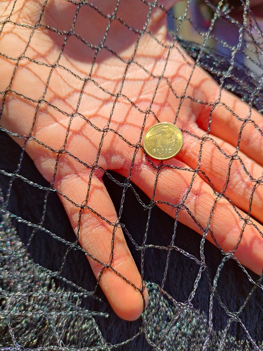 MOCNA SIATKA przeciw PTAKOM na BALKON na Drzewka Wolierę 7,5 x 7,5 m