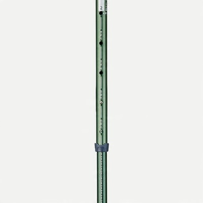 1 kijek turystyczny Forclaz MT100 Ergo