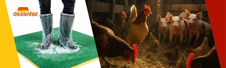 MATA DEZYNFEKCYJNA 50X60X3CM EKO_PLUS + GRATIS!