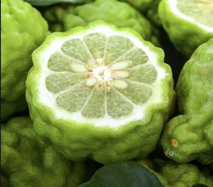 MIODOWA MYDLARNIA Dezodorant w kremie BERGAMOTKA