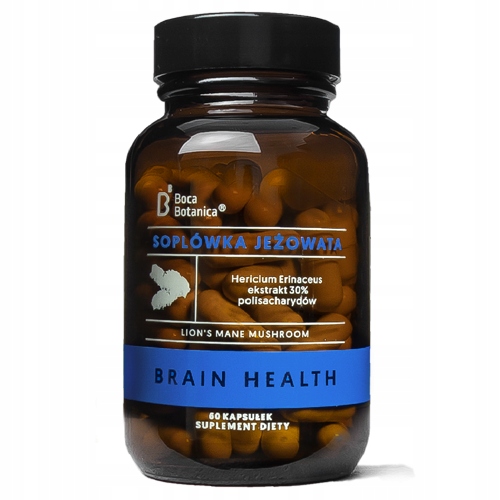 Soplówka jeżowata ekstrakt 30% 500mg - Lion's Mane