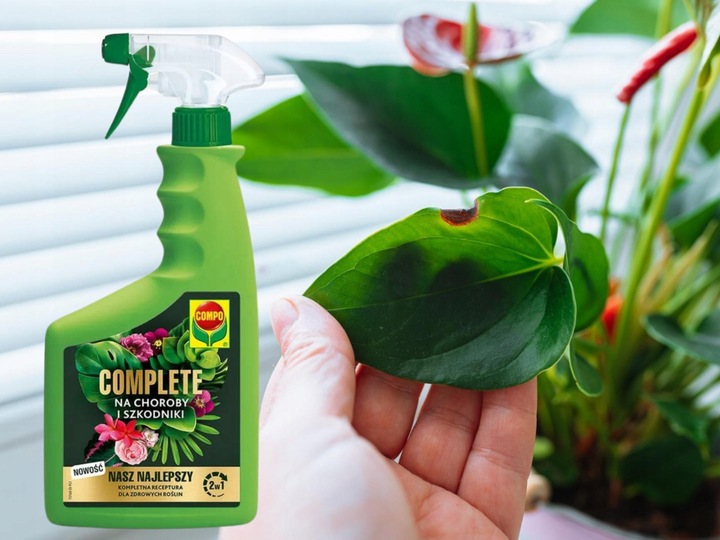COMPO COMPLETE 2w1 NA CHOROBY I SZKODNIKI MSZYCE PRZĘDZIORKI WEŁNOWCE PLEŚŃ