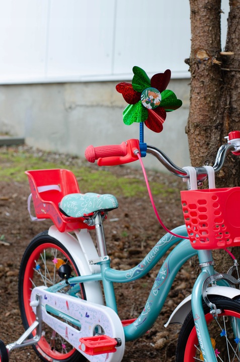 Rower dziecięcy Formula ALICIA koło 18 " turkusowy