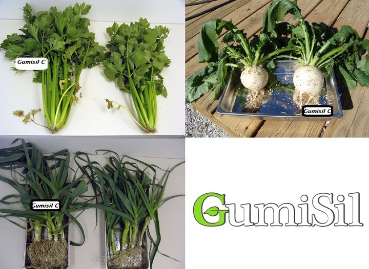 STYMULATOR DO WARZYW GUMISIL TRICHODERMA ROZSADY! EKO NAWÓZ BIOLOGICZNY TOP