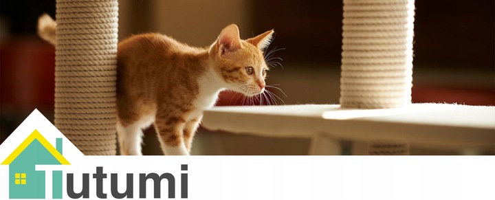 DRAPAK DLA KOTA NISKI Z ZABAWKAMI LEGOWISKIEM 2 POZIOMY SZNUREK JUTOWY 45cm