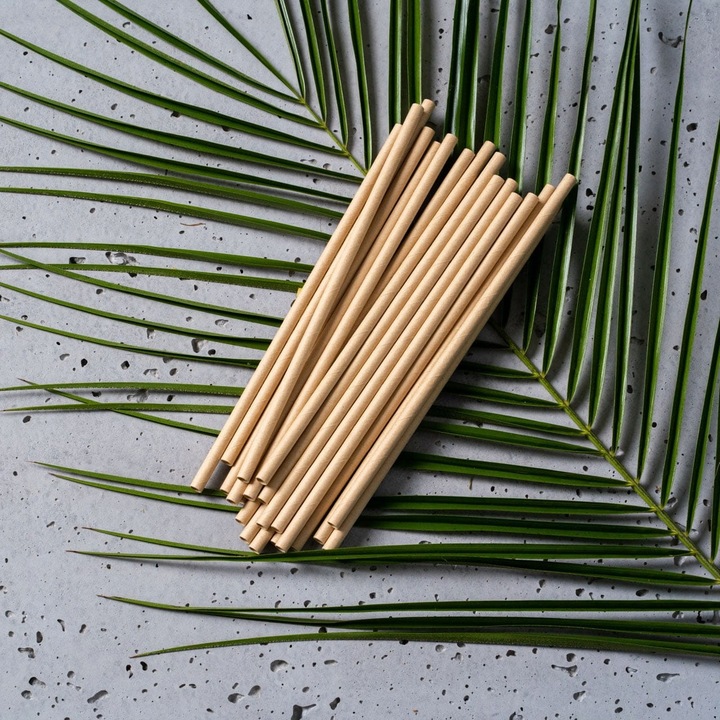 Zestaw z trzciny cukrowej kwadratowy brąz/12 osób