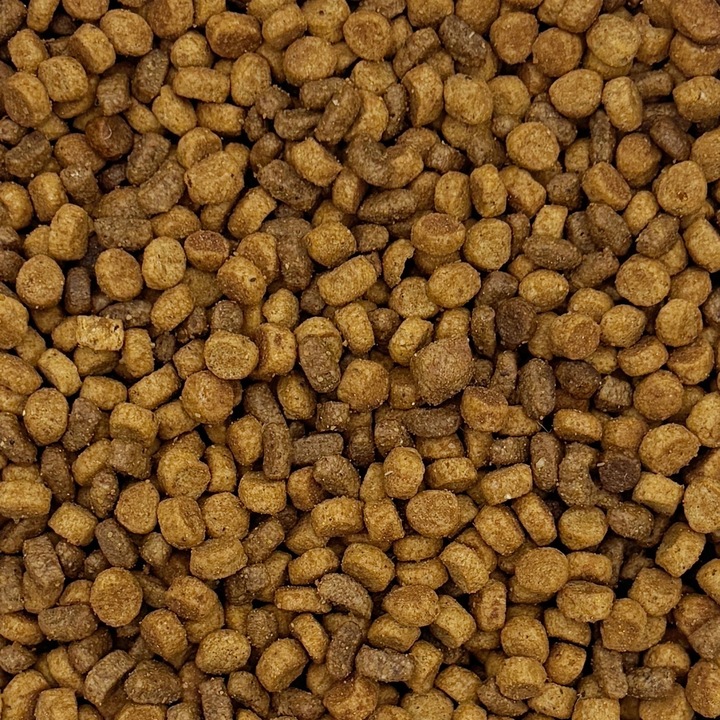 10kg MAXIPET Sucha karma dla kota pełnoporcjowa wołowina