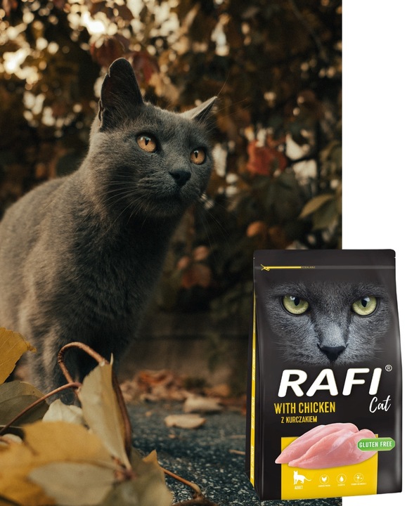 KARMA SUCHA DLA KOTA RAFI KURCZAK 7kg