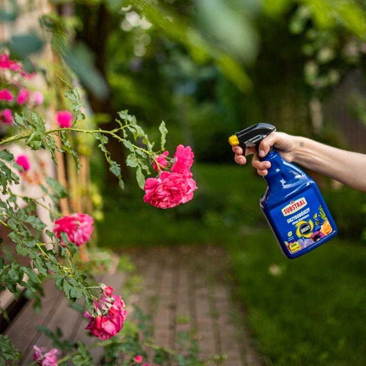 SAPROL GRZYBOBÓJCZY środek KWIATY: ZWALCZA CHRONI