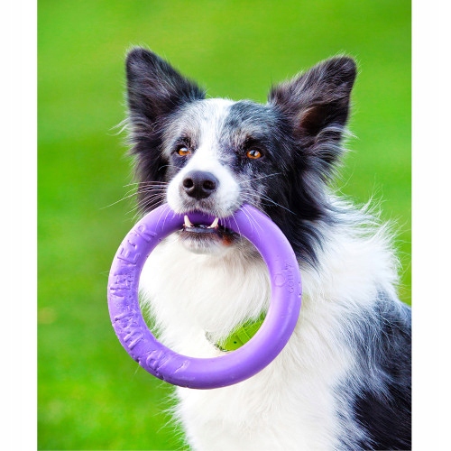 Szarpak dla psa PULLER Midi 19,5 cm - zabawka 2 ringi dla średnich ras psów