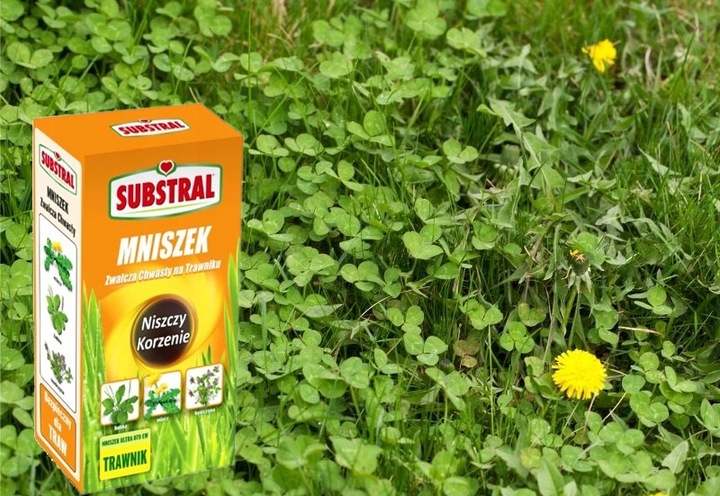 Mniszek niszczy chwasty RAZEM Z KORZENIAMI W TRAWIE TRAWNIKU SUBSTRAL 500ml