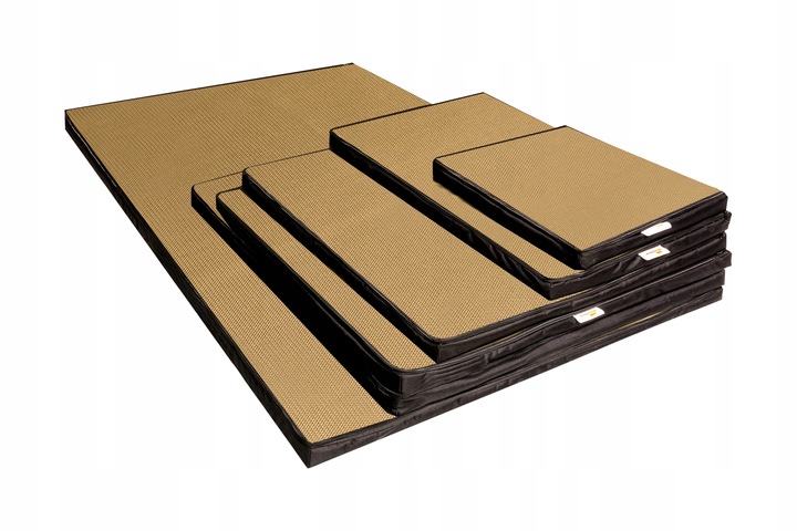 MATA DEZYNFEKCYJNA 100X100X4CM STANDARD + GRATIS!