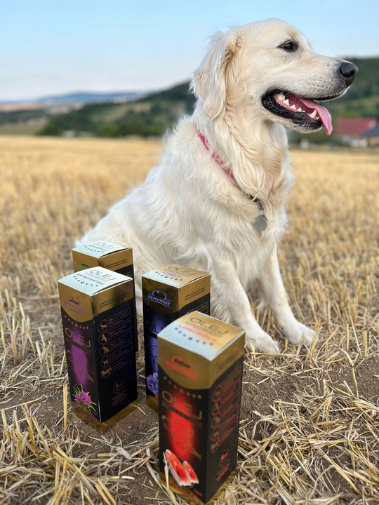 VITAR Veterinae Olej Lniany 1000 ml - lśniąca sierść, doskonałe źródło