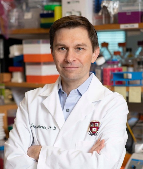 PROTON LABS TMG 50g Betaina bezwodna Czysty Proszek 99,7%+