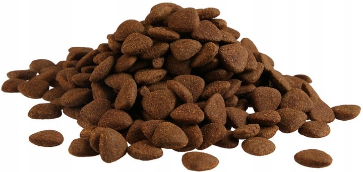 FITMIN DOG MAINTENANCE MEDIUM sucha karma dla PSA 12 kg