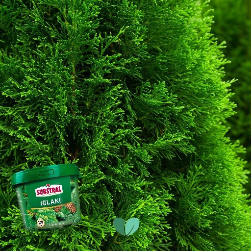 NAWÓZ DO IGLAKA 100DNI 5KG SUBSTRAL