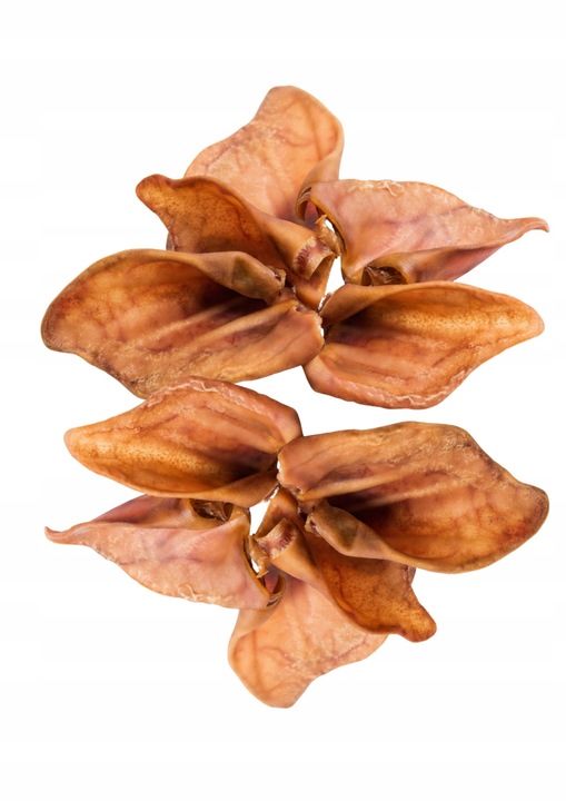 Przysmak, naturalny gryzak dla psa Ucho Wieprzowe Petmex 10 szt.