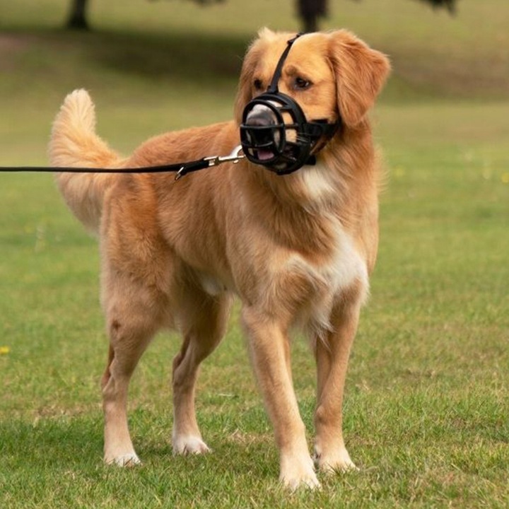 BASKERVILLE ULTRA 3 MUZZLE Kaganiec FIZJOLOGICZNY dla Psa LEKKI M 27/7cm