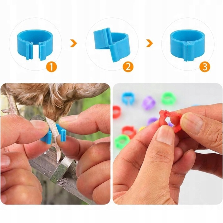 ZNACZNIKI OBRĄCZKI KLIPSY DLA KUR KACZEK GĘSI PTAKÓW 16MM 0.5-2.5kg