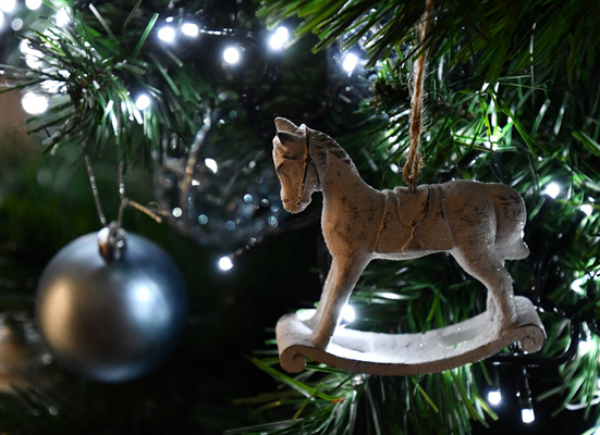 Lampki SOPLE Zewnętrzne GRUBE 100 LED 4,25m ZIMNE BIAŁE + FLASH + Gniazdo