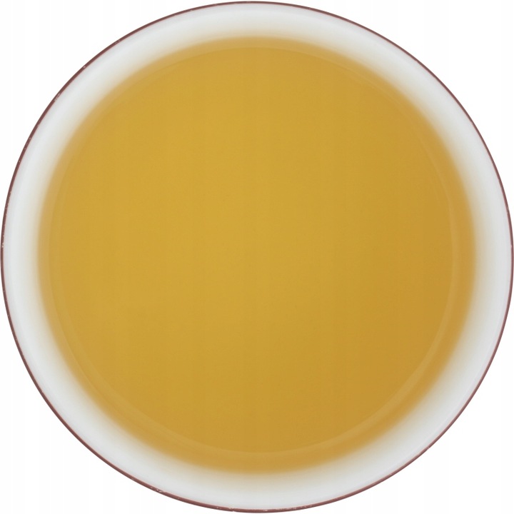 Herbata zielona Basilur Sencha Classics Ceylon - 100 x 1,5 g