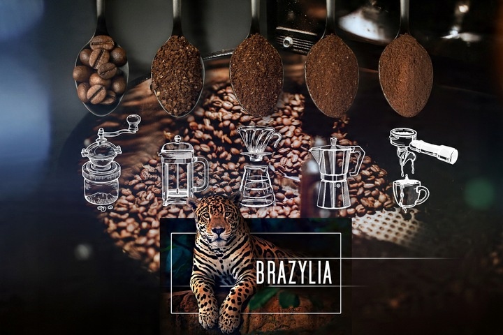 Kawa Mielona Świeżo Palona 100% Arabica Brazylia 500G Eight Cafe