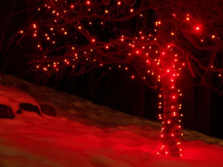 Lampki Choinkowe Led Wewnętrzne Zewnętrzne Wodoodporne Czerwone 300 LED