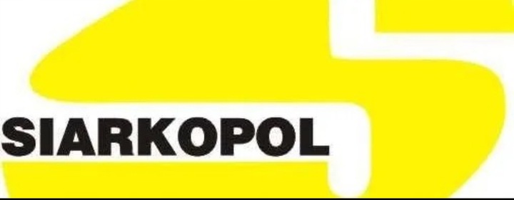 NAWÓZ TRAWNIK S 25kg DO TRAWY ZWARTA DARŃ WYBARWIAJĄCY + OSMOCOTE GRATIS