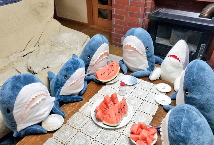 blahaj Duży rekin pluszak 100 cm Przytulanka