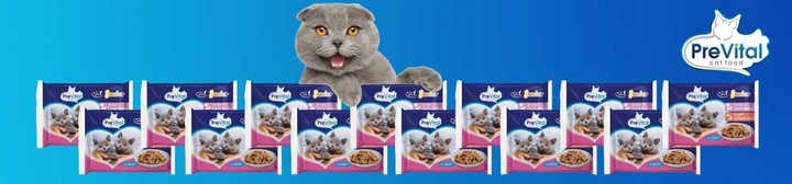 Karma dla kota mokra PreVital Junior Mix 52 saszetek x 100g