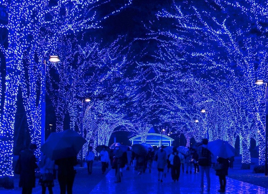 Lampki Choinkowe 300 LED 30m Zewnętrzne NIEBIESKIE + FLASH Timer