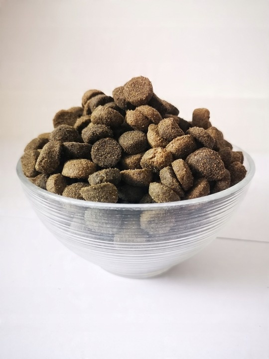 Forzecan Daily 45% mięsa, bez chemii i GMO. 20kg