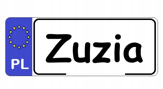 SimplyGo CHODZIK DLA DZIECKA PCHACZ 2w1 EDUKACYJNY