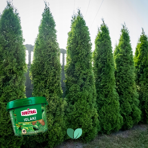 NAWÓZ DO IGLAKA 100DNI 5KG SUBSTRAL