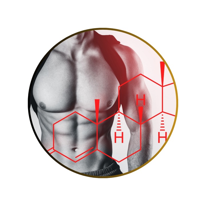 TESTOSTERON tabletki | Naturalny Booster TESTOSTERONU | ManLife TestoBear